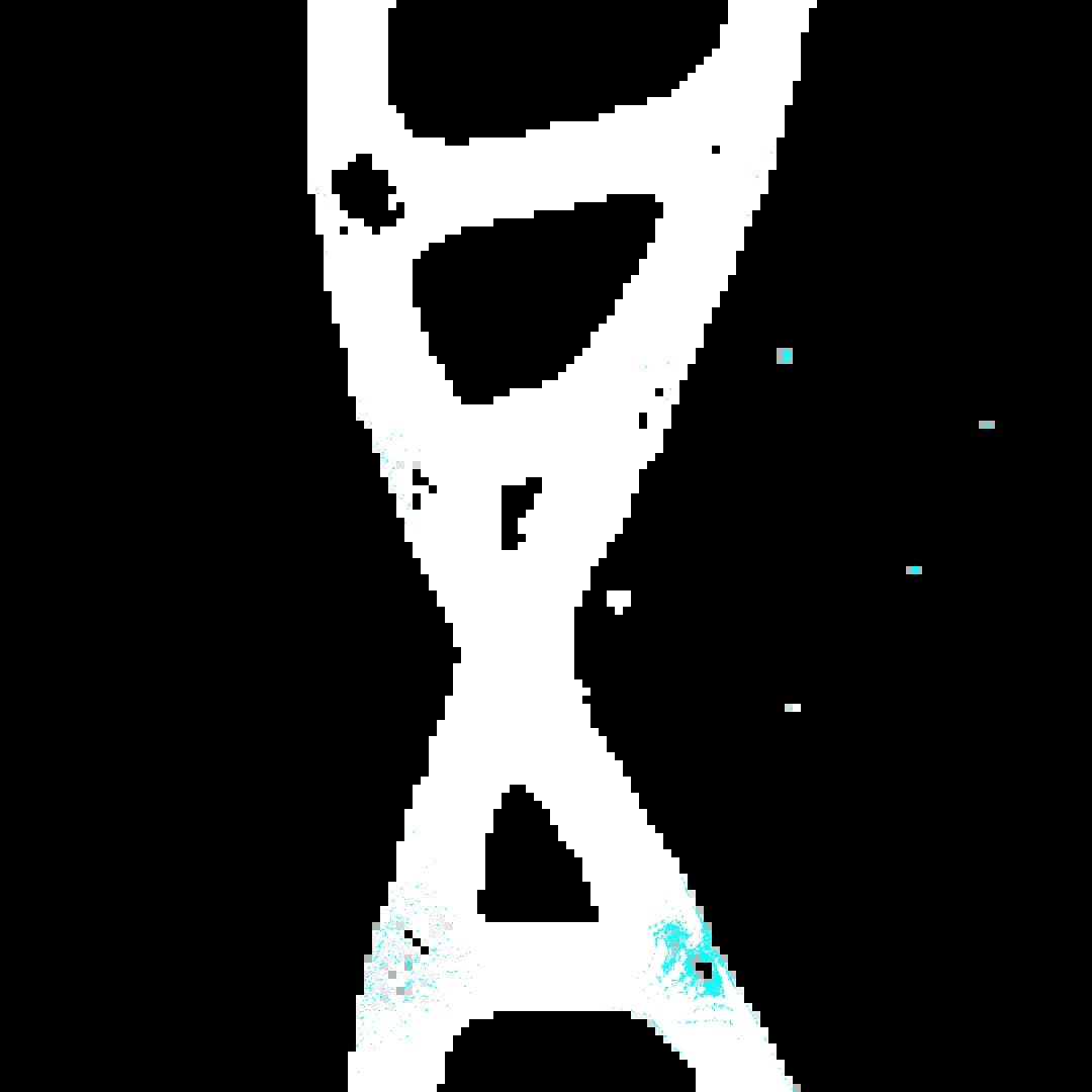 dna